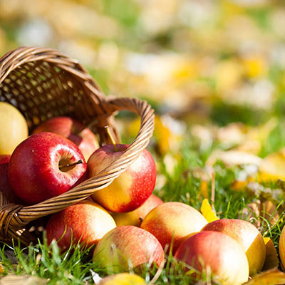 Apples