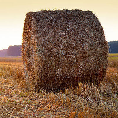 Bale Of Hay