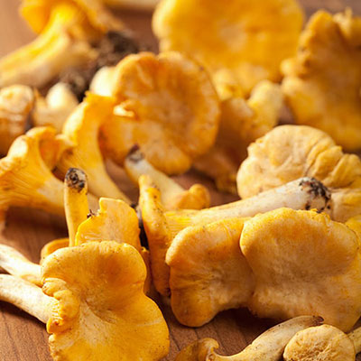  Chanterelles 