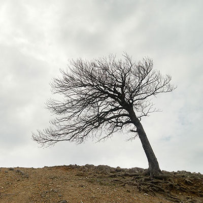 Denuded