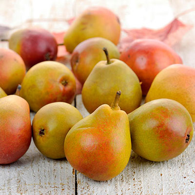 Pears