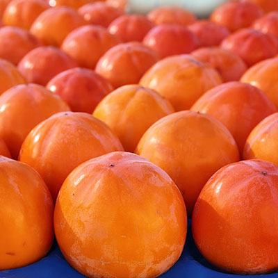  Persimmon 