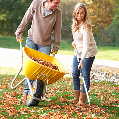  Raking Leaves 