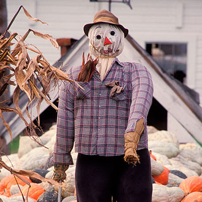 Scarecrow