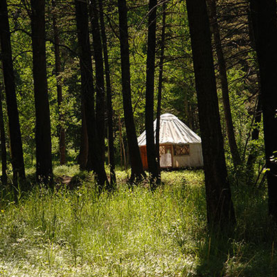  Yurt 