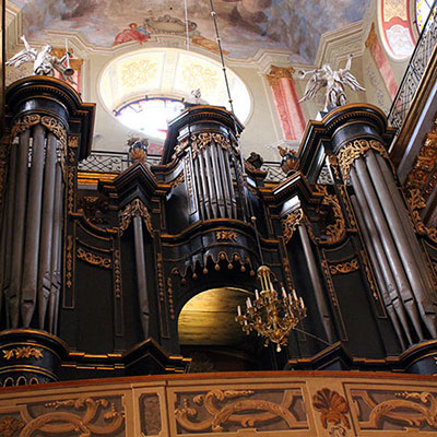 Organ