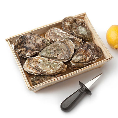 Oysters