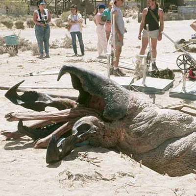  Tremors 