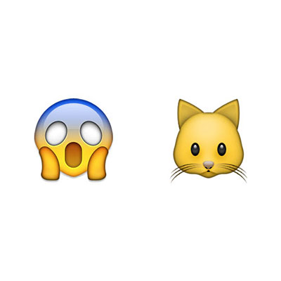Scaredy Cat