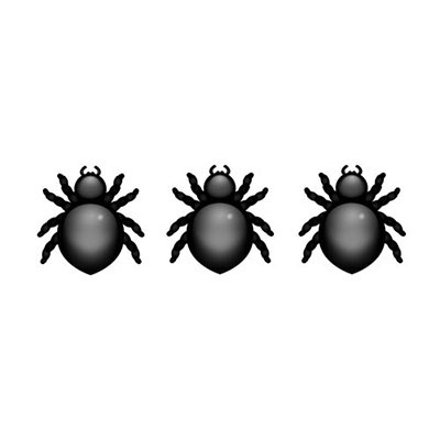 Spiders
