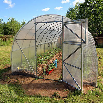 Greenhouse