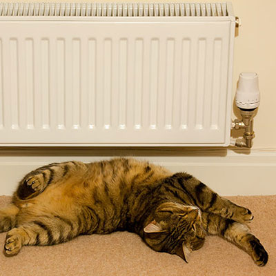 Radiator
