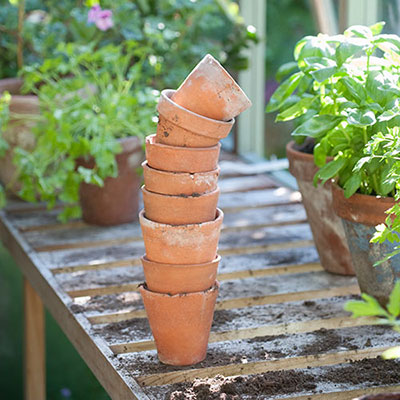Terracotta