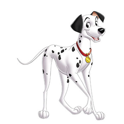 Pongo