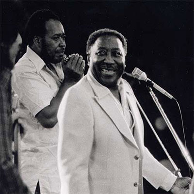 Muddy Waters