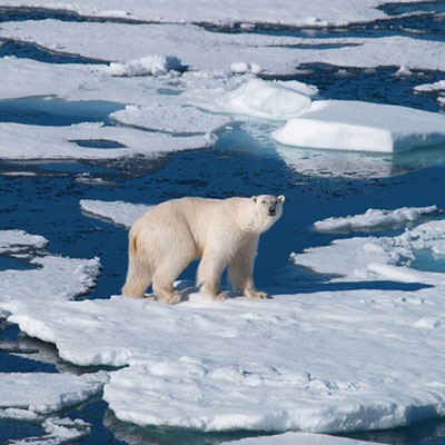 Frozen Planet