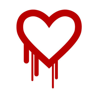 Heartbleed Bug
