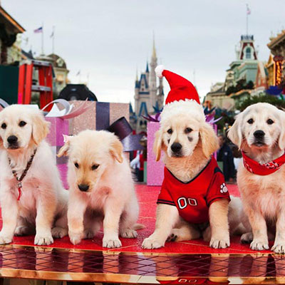 Santa Buddies