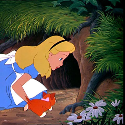 Rabbit Hole