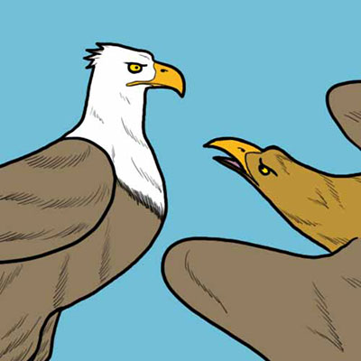 The Eagles
