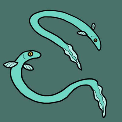 The Eels