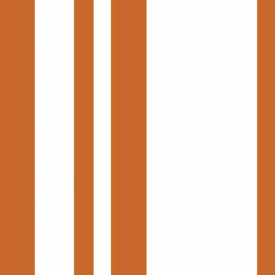  White Stripes 