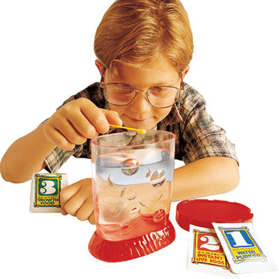 Sea Monkeys