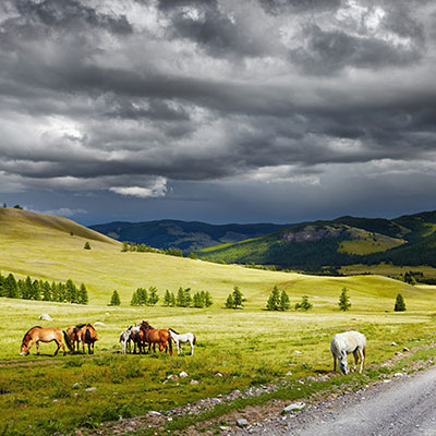  Pastoral 