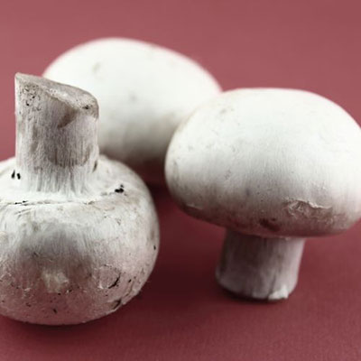  Champignons 