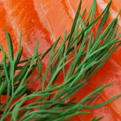 Dill