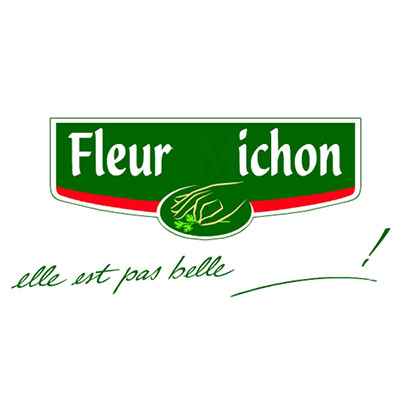Fleury Michon