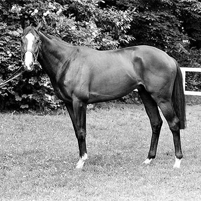 Shergar