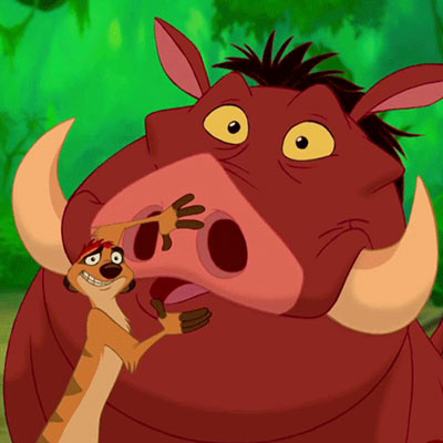 Timon And Pumbaa