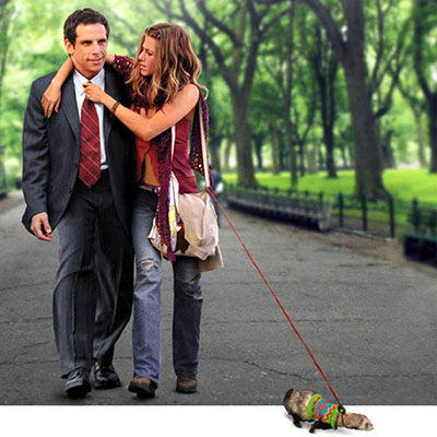Along Came Polly