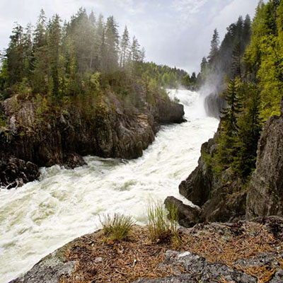  River 