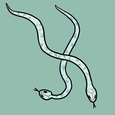  Snakes 