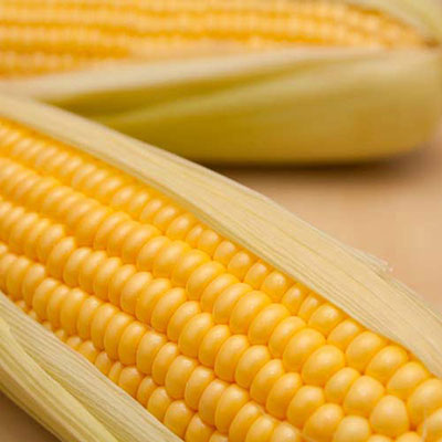 Sweetcorn
