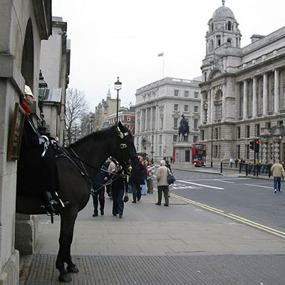  Whitehall 