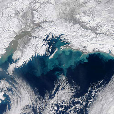 Gulf Of Alaska