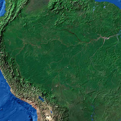 The Amazon