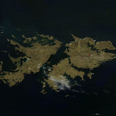 The Falklands