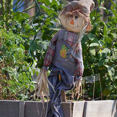 Scarecrow