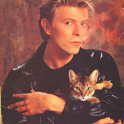 David Bowie