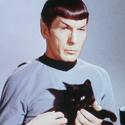 Dr Spock