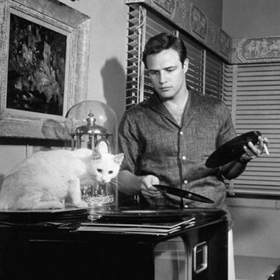  Marlon Brando 
