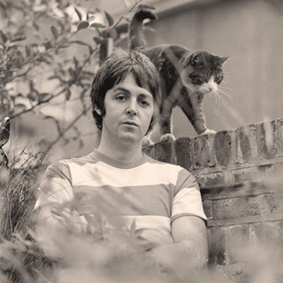 Paul Mccartney