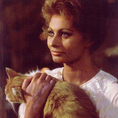 Sophia Loren