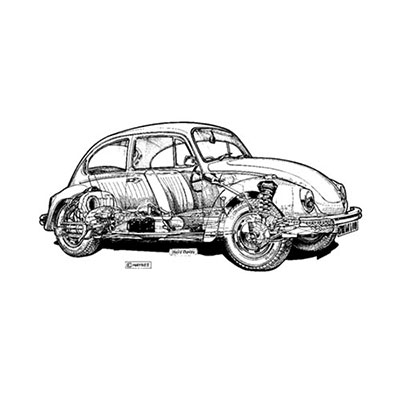 Beetle