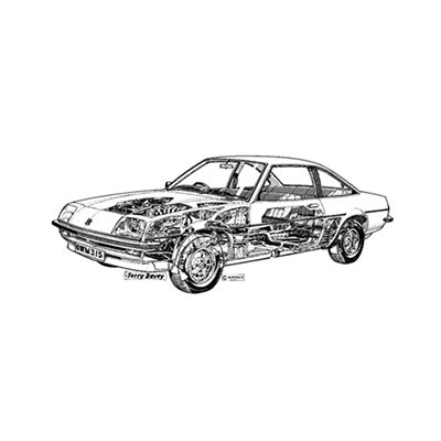 Cavalier