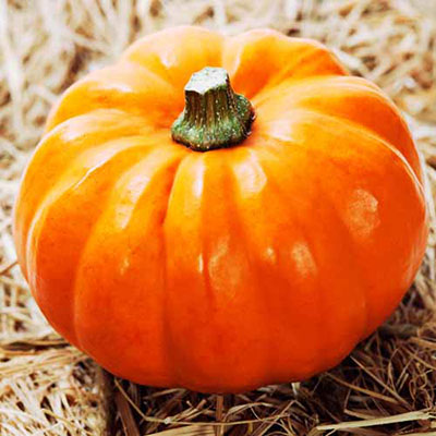 Pumpkin